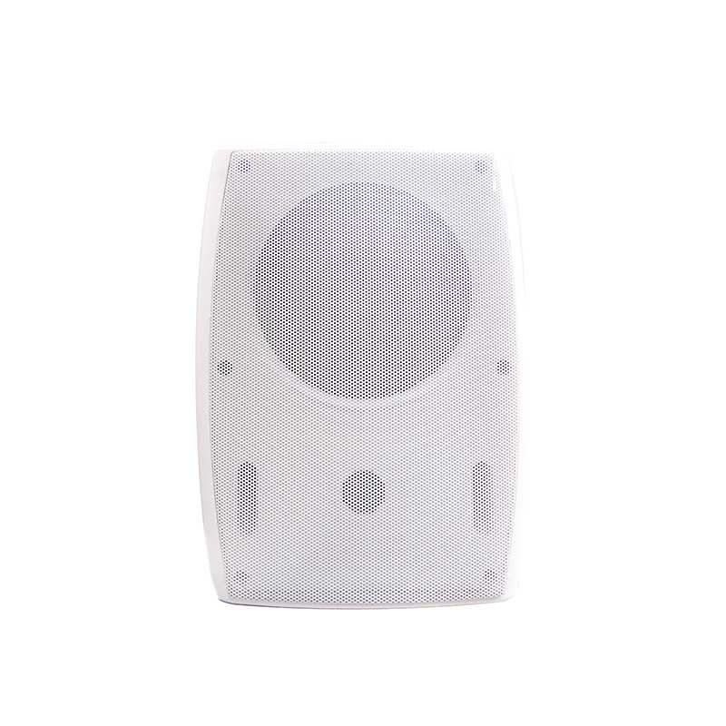 Passive Speaker 4