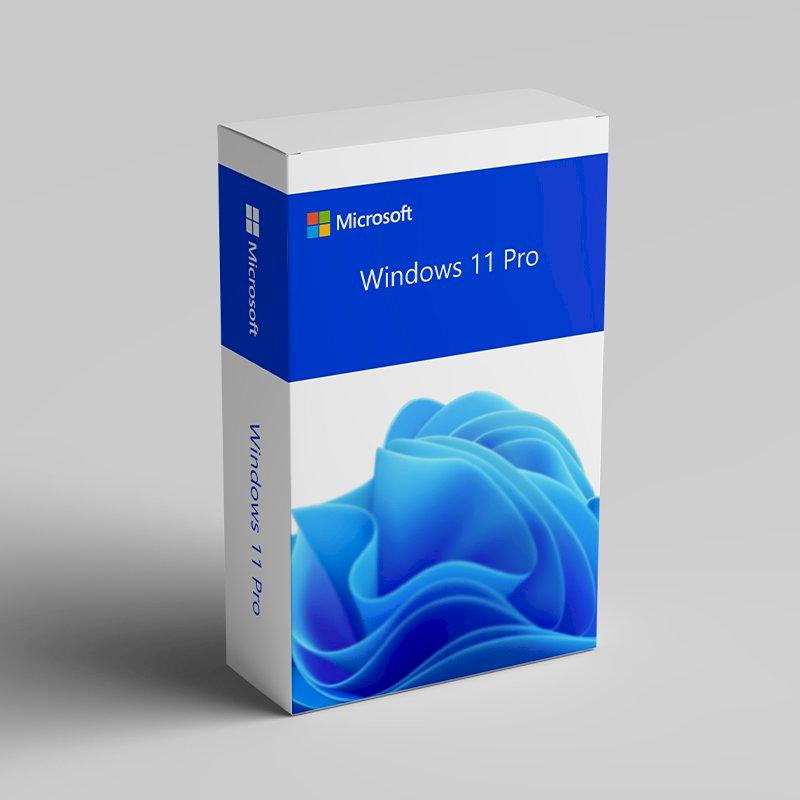 Windows 11 Professional License + Installation