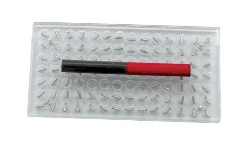 Magnetoscopio
